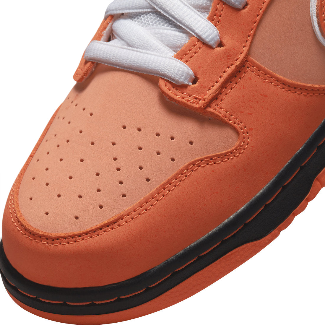Concepts X Nike SB Dunk Low Orange Lobster