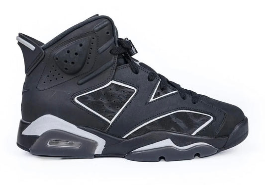 Air Jordan 6 Retro Cap and Gown