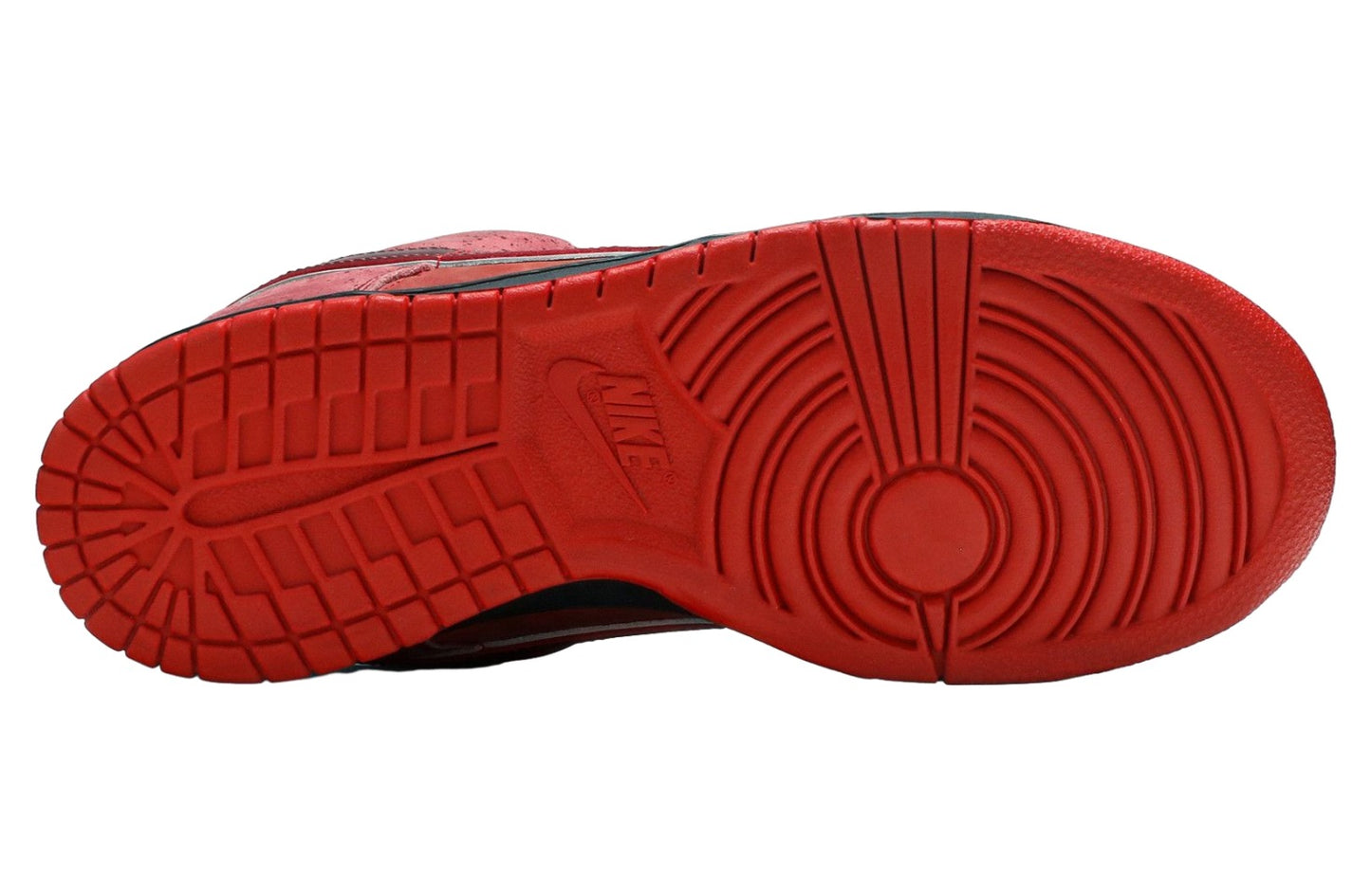 Nike Dunk Low Premium SB Lobster